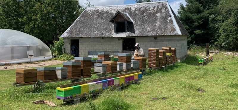Vente du miel d'un producteur local et ces produits dérivés de miel près de Rouen en Normandie