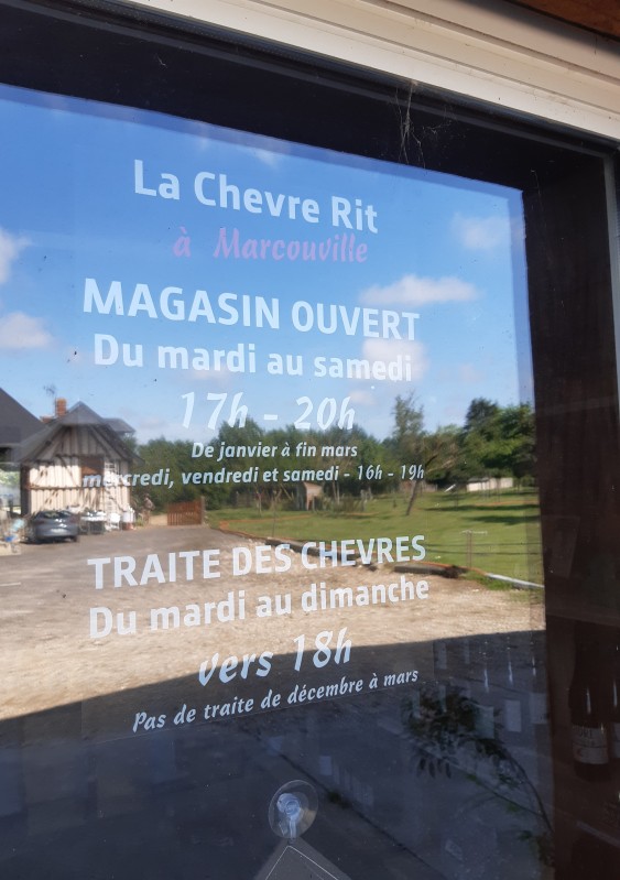 Visite d'une ferme locale familiale pour la découverte de fabrication de fromage de chèvre près de Pont-Audemer 27 dans l'Eure en Normandie