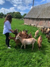 Notre zone d'activité pour ce service Ou acheter du vrai miel autour de moi