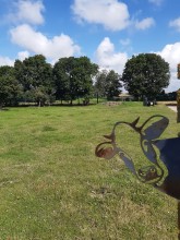 Nos prestations sur le secteur de Elbeuf en Seine Maritime (76)