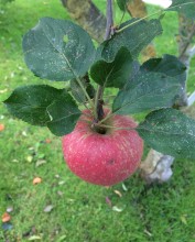Notre zone d'activité pour ce service Vente directe de fromage de chèvre autour de moi