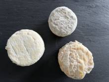 Nos prestations sur le secteur de Elbeuf en Seine Maritime (76)