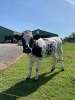 Notre zone d'activité pour ce service Accueil de camping-cars à la ferme près de